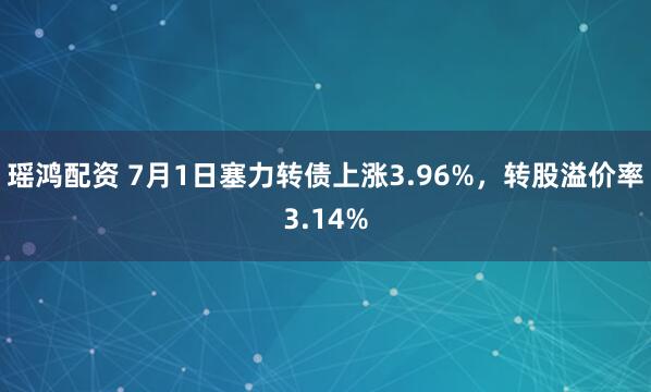 瑶鸿配资 7月1日塞力转债上涨3.96%，转股溢价率3.14%