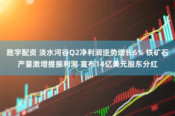 胜宇配资 淡水河谷Q2净利润逆势增长6% 铁矿石产量激增提振利润 宣布14亿美元股东分红