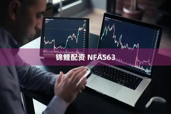 锦鲤配资 NFAS63