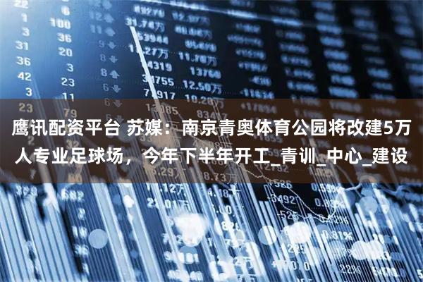 鹰讯配资平台 苏媒：南京青奥体育公园将改建5万人专业足球场，今年下半年开工_青训_中心_建设
