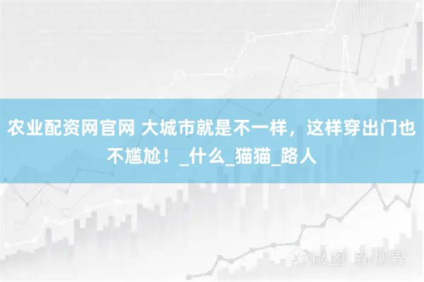 农业配资网官网 大城市就是不一样，这样穿出门也不尴尬！_什么_猫猫_路人